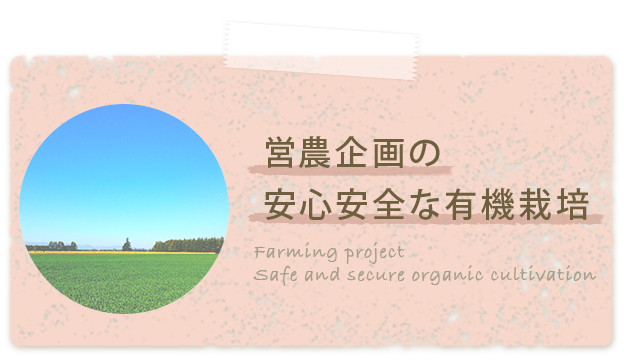 営農企画の安心安全な有機栽培